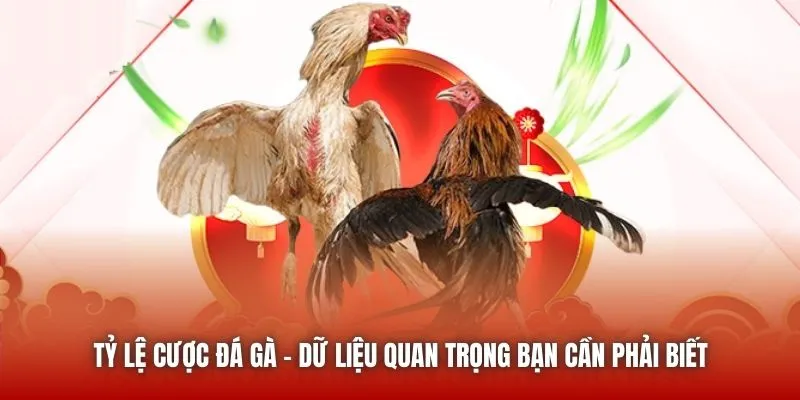 Tỷ Lệ Cược Đá Gà – Dữ Liệu Quan Trọng Bạn Cần Phải Biết